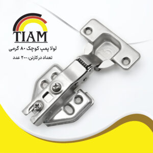پمپ کوچک 80 گرمی
